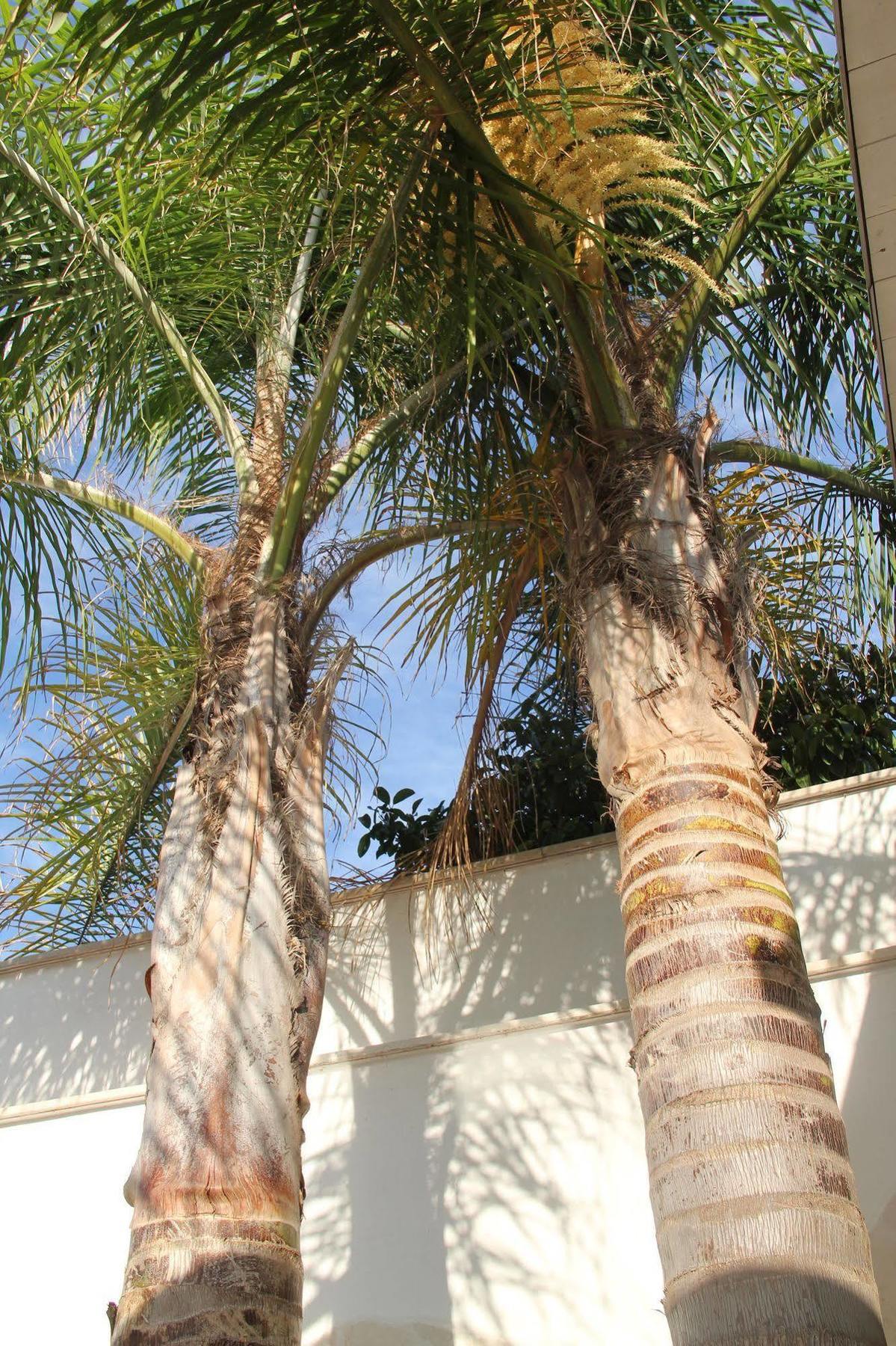B&B Valentino Bari Ngoại thất bức ảnh